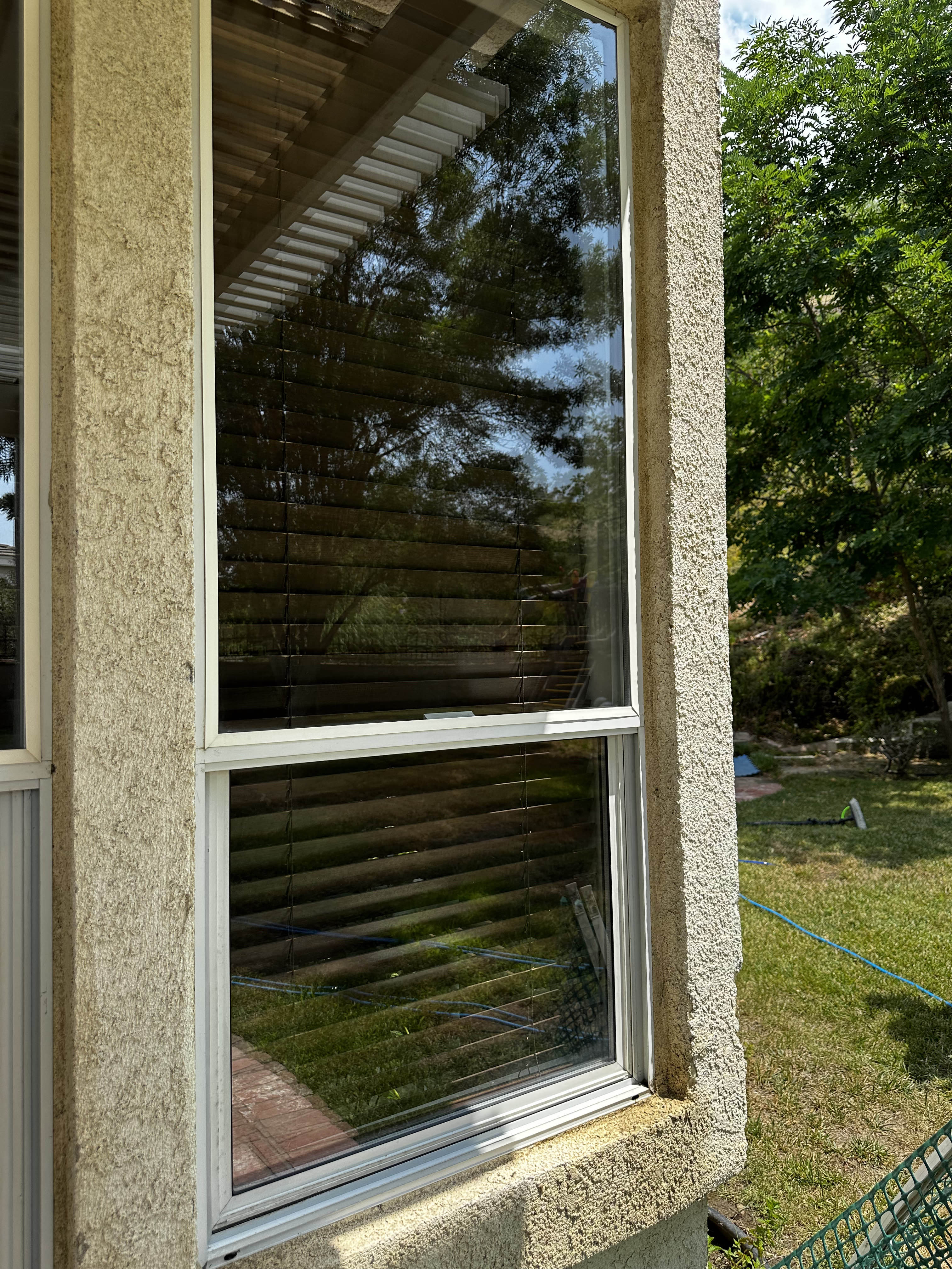 Clean streak-free window after professional cleaning